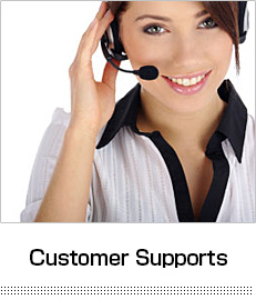 japanese customer support